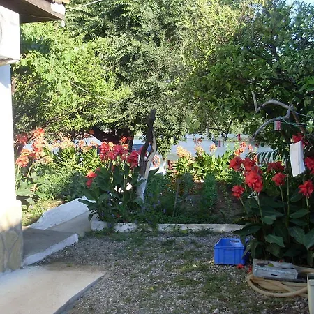 Δωμάτια σε οικογενειακή κατοικία Miletos Dalyan