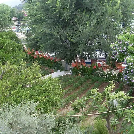 Miletos Δωμάτια σε οικογενειακή κατοικία