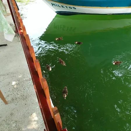 Miletos Δωμάτια σε οικογενειακή κατοικία Dalyan