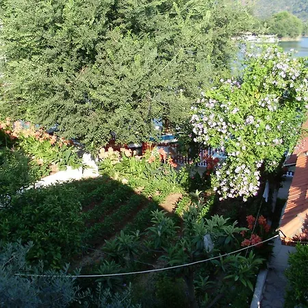 Miletos Gazde/Camere de închiriat Dalyan